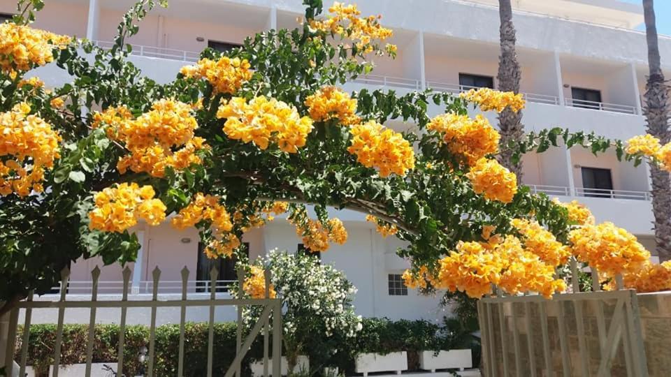 Kardamena Holiday Apartments Экстерьер фото