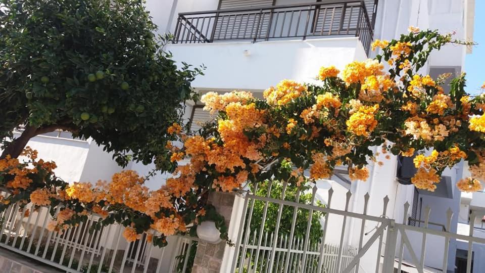 Kardamena Holiday Apartments Экстерьер фото